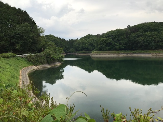 f:id:tom101010:20190616210028j:plain