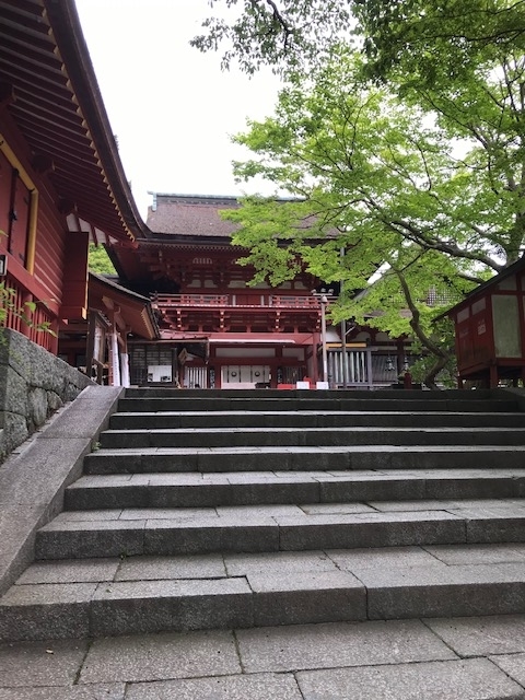 f:id:tom101010:20190617231140j:plain f:id:tom101010:20190617231140j:plain