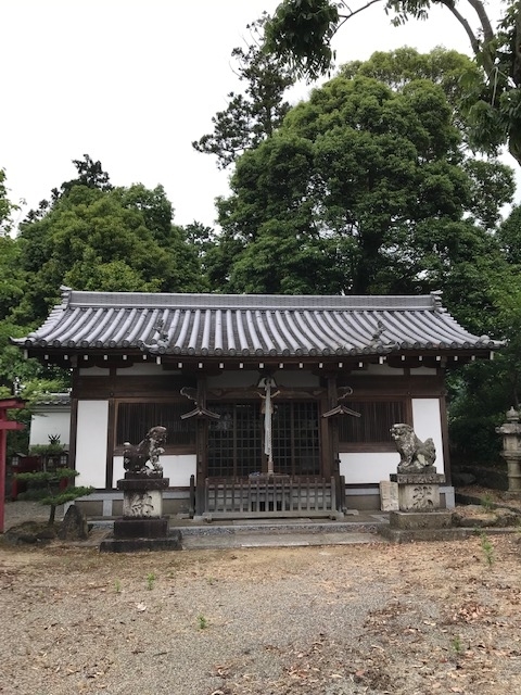 f:id:tom101010:20190619224821j:plain