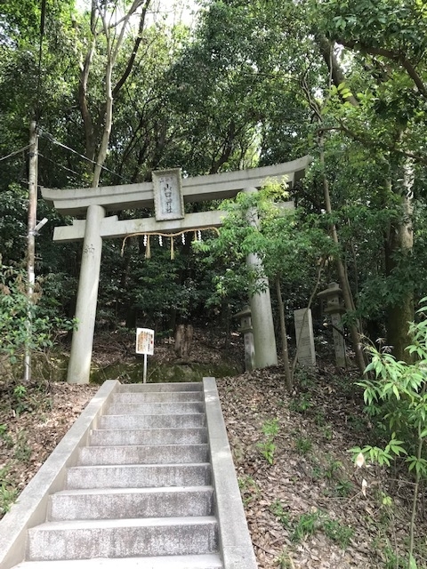 f:id:tom101010:20190621230240j:plain