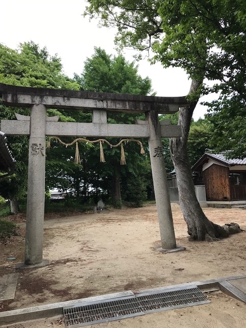 f:id:tom101010:20190625214854j:plain