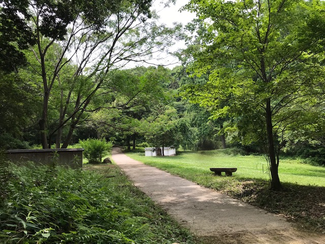 f:id:tom101010:20190626231125j:plain f:id:tom101010:20190626231125j:plain