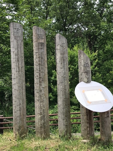 f:id:tom101010:20190626231312j:plain f:id:tom101010:20190626231312j:plain