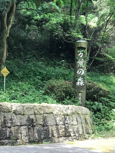 f:id:tom101010:20190626231457j:plain f:id:tom101010:20190626231457j:plain