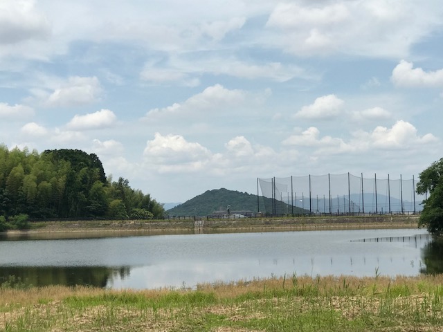 f:id:tom101010:20190626231815j:plain f:id:tom101010:20190626231815j:plain