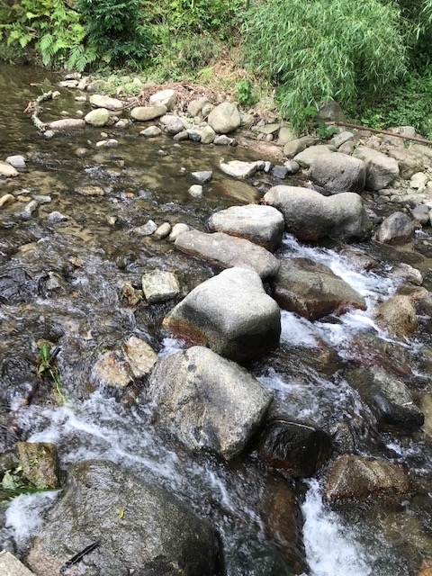 f:id:tom101010:20190816155114j:plain