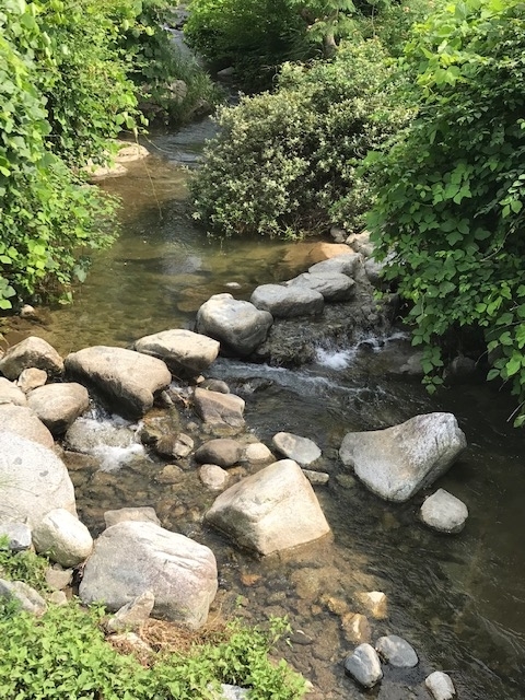 f:id:tom101010:20190816155349j:plain