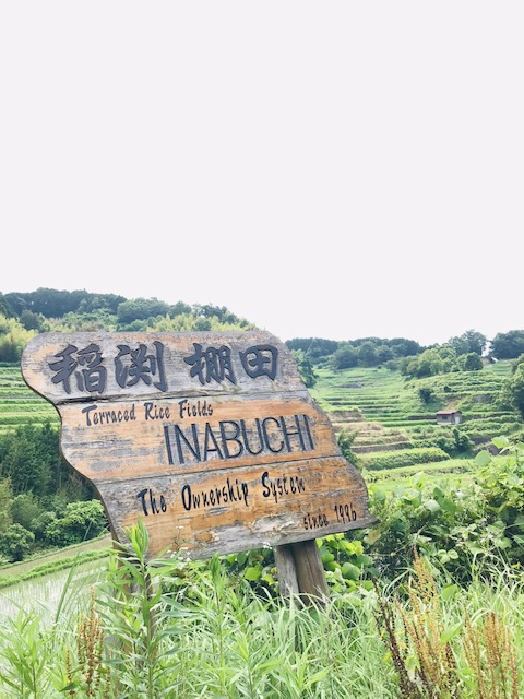 f:id:tom101010:20190816155725j:plain