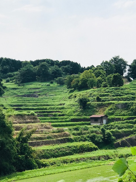 f:id:tom101010:20190816155847j:plain