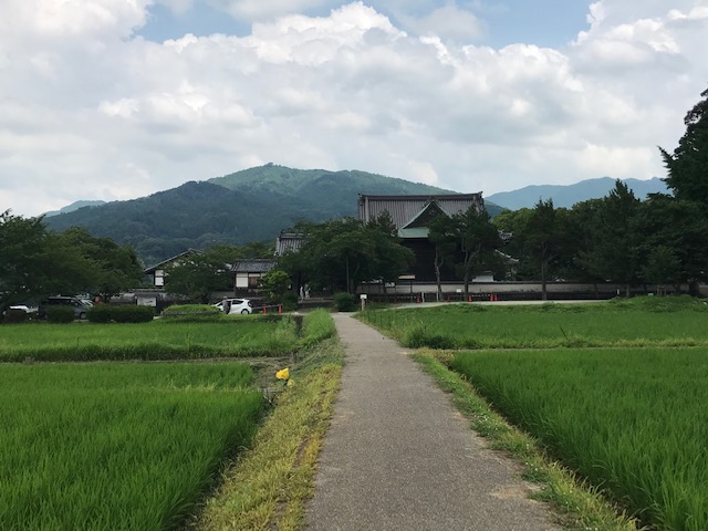 f:id:tom101010:20190827205004j:plain