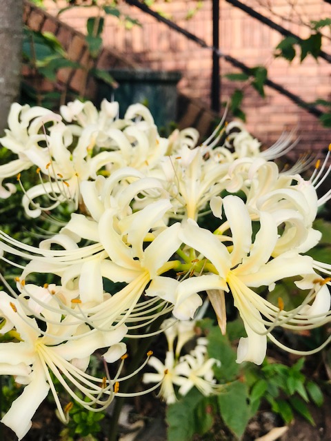 f:id:tom101010:20191225144255j:plain