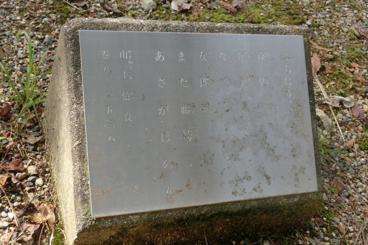 f:id:tom101010:20200126215157j:plain f:id:tom101010:20200126215157j:plain