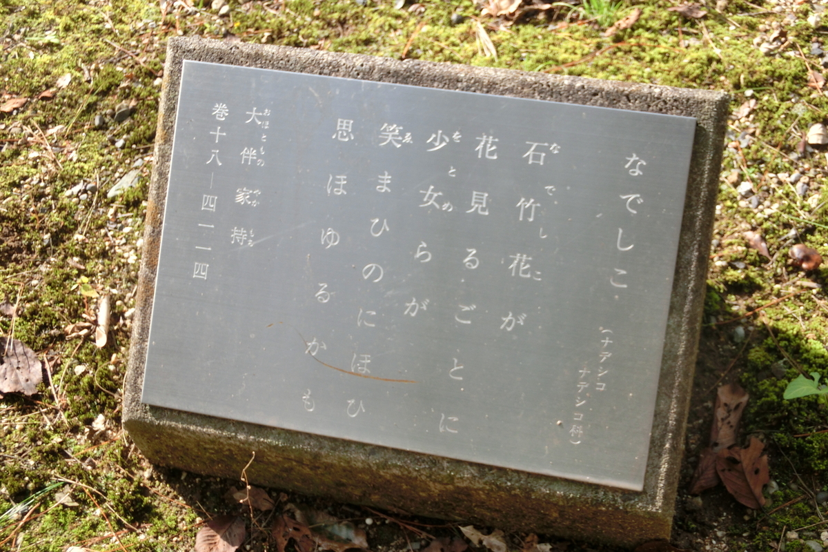 f:id:tom101010:20200126215334j:plain f:id:tom101010:20200126215334j:plain