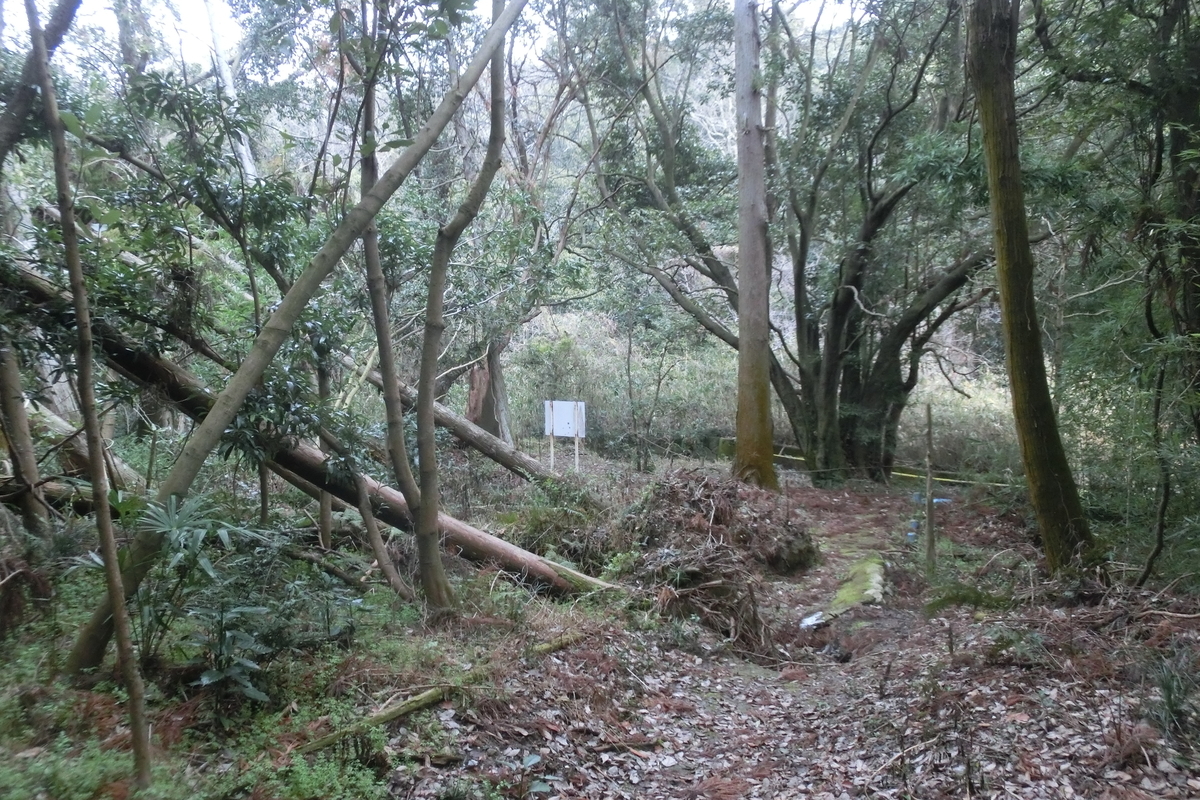 f:id:tom101010:20200214091254j:plain f:id:tom101010:20200214091254j:plain