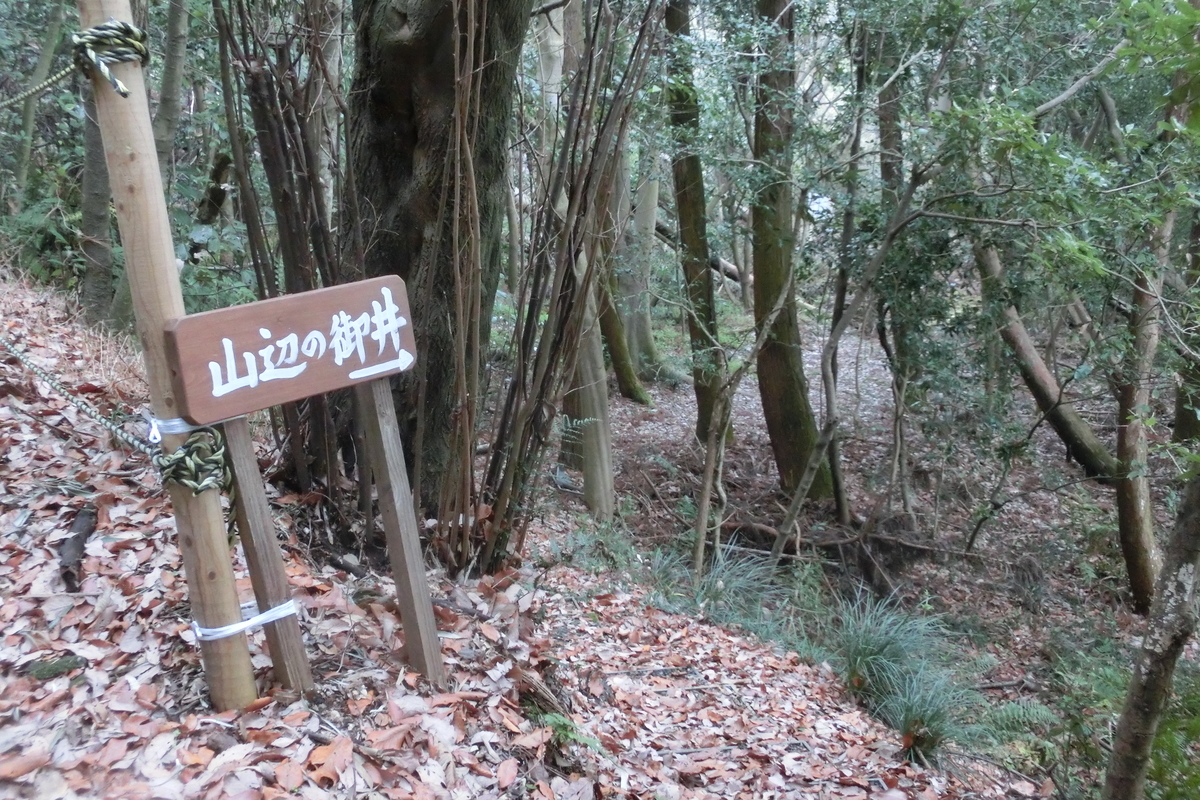 f:id:tom101010:20200214091348j:plain f:id:tom101010:20200214091348j:plain