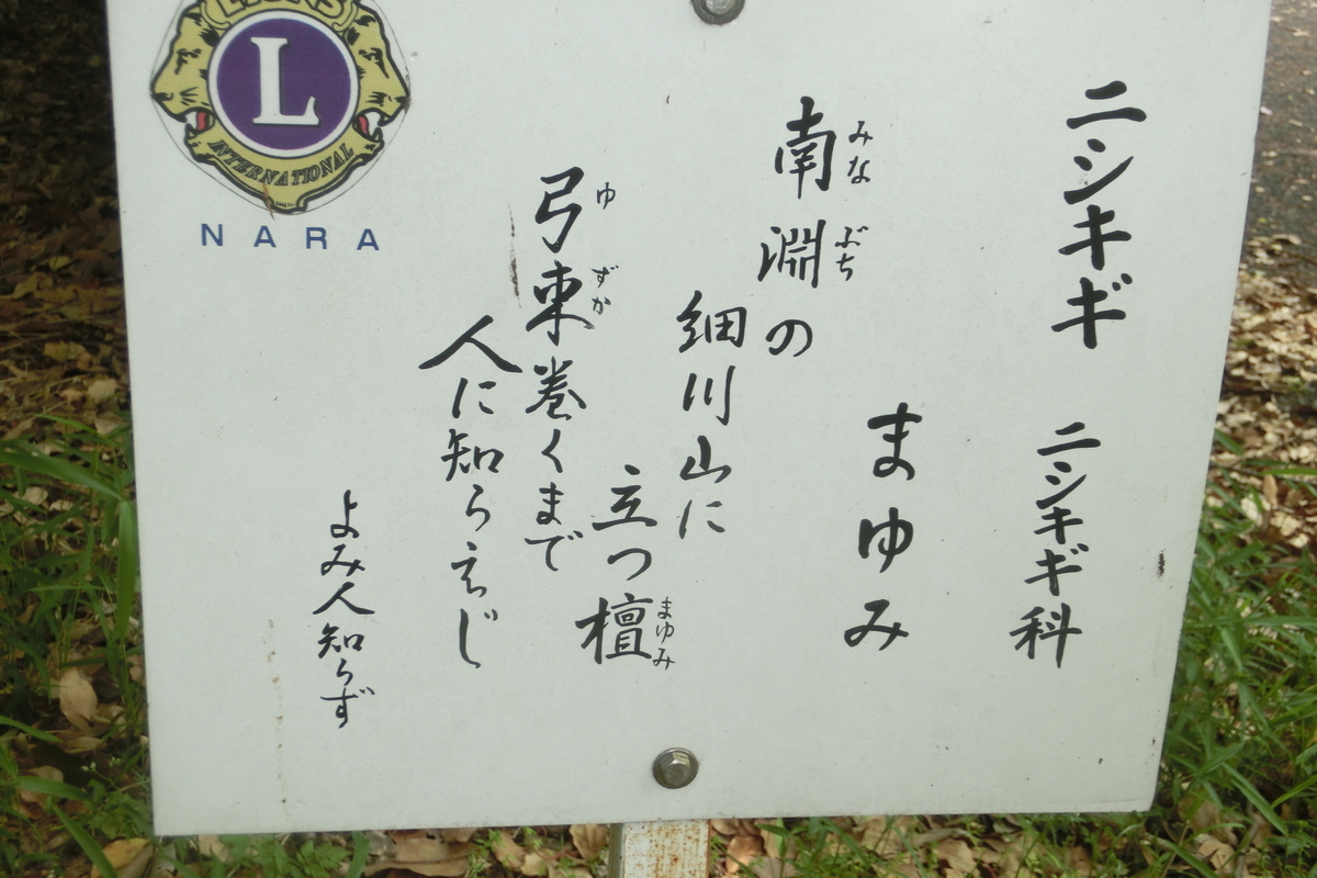 f:id:tom101010:20200607170953j:plain f:id:tom101010:20200607170953j:plain