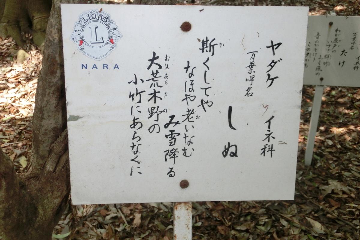 f:id:tom101010:20200607171111j:plain f:id:tom101010:20200607171111j:plain