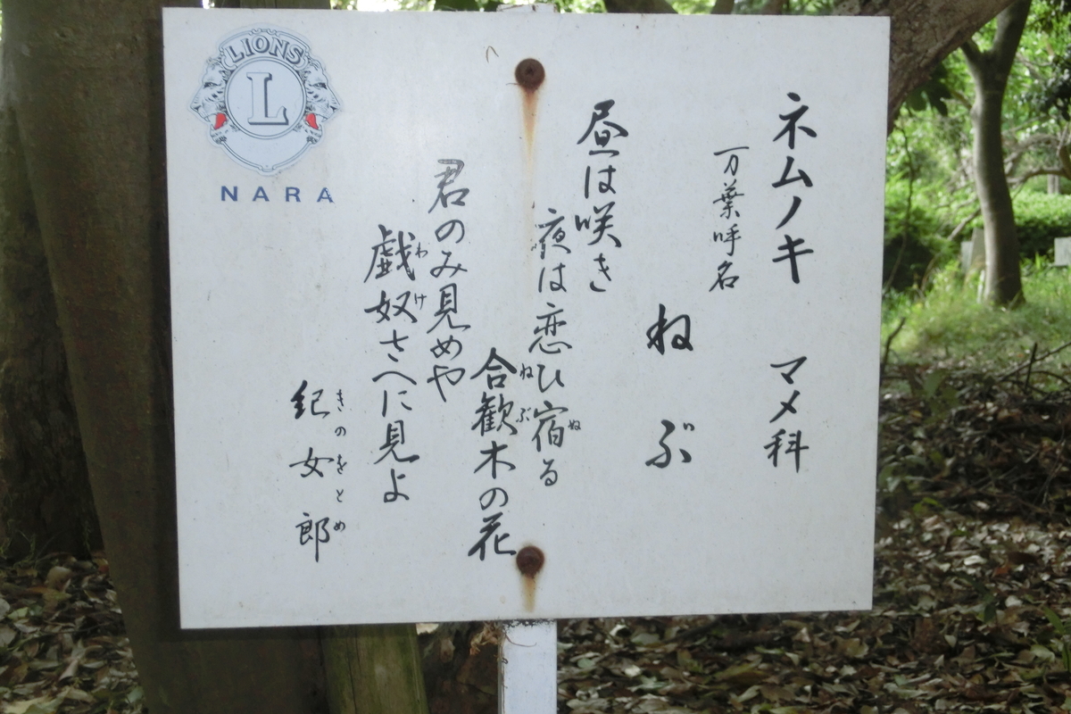 f:id:tom101010:20200608160717j:plain f:id:tom101010:20200608160717j:plain