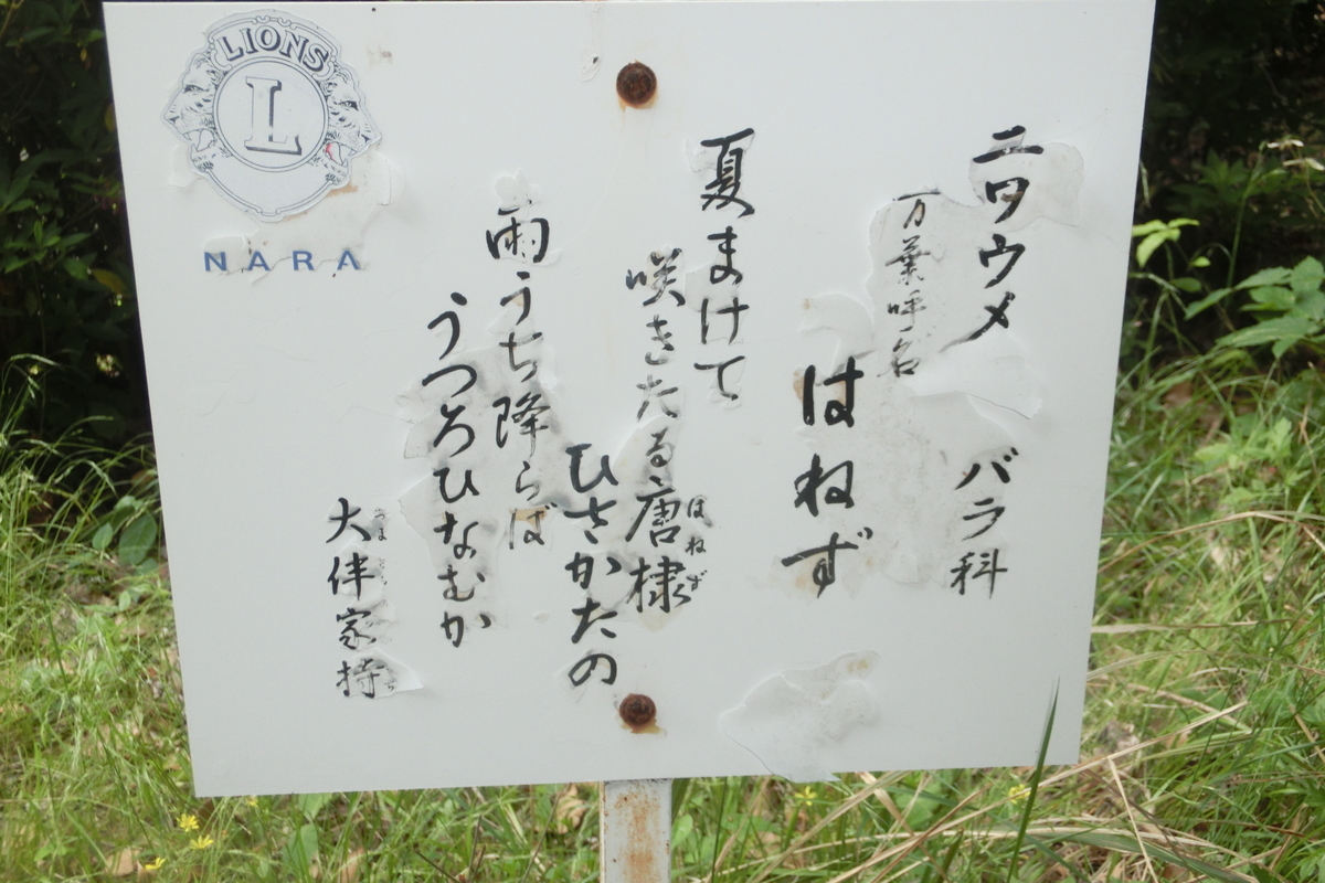 f:id:tom101010:20200608160920j:plain f:id:tom101010:20200608160920j:plain