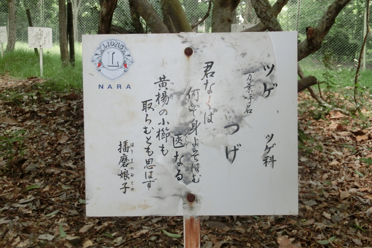 f:id:tom101010:20200608161111j:plain f:id:tom101010:20200608161111j:plain