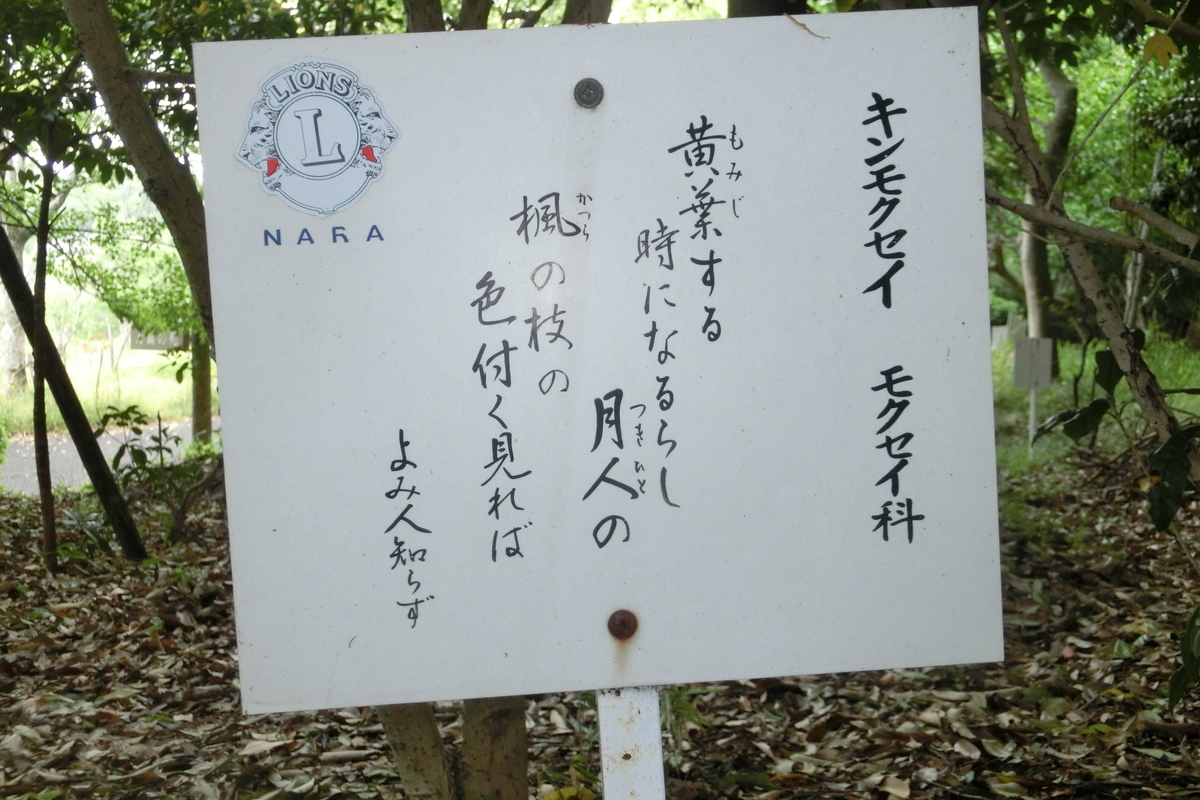 f:id:tom101010:20200614144848j:plain f:id:tom101010:20200614144848j:plain