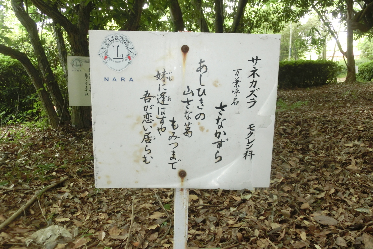 f:id:tom101010:20200614145147j:plain f:id:tom101010:20200614145147j:plain