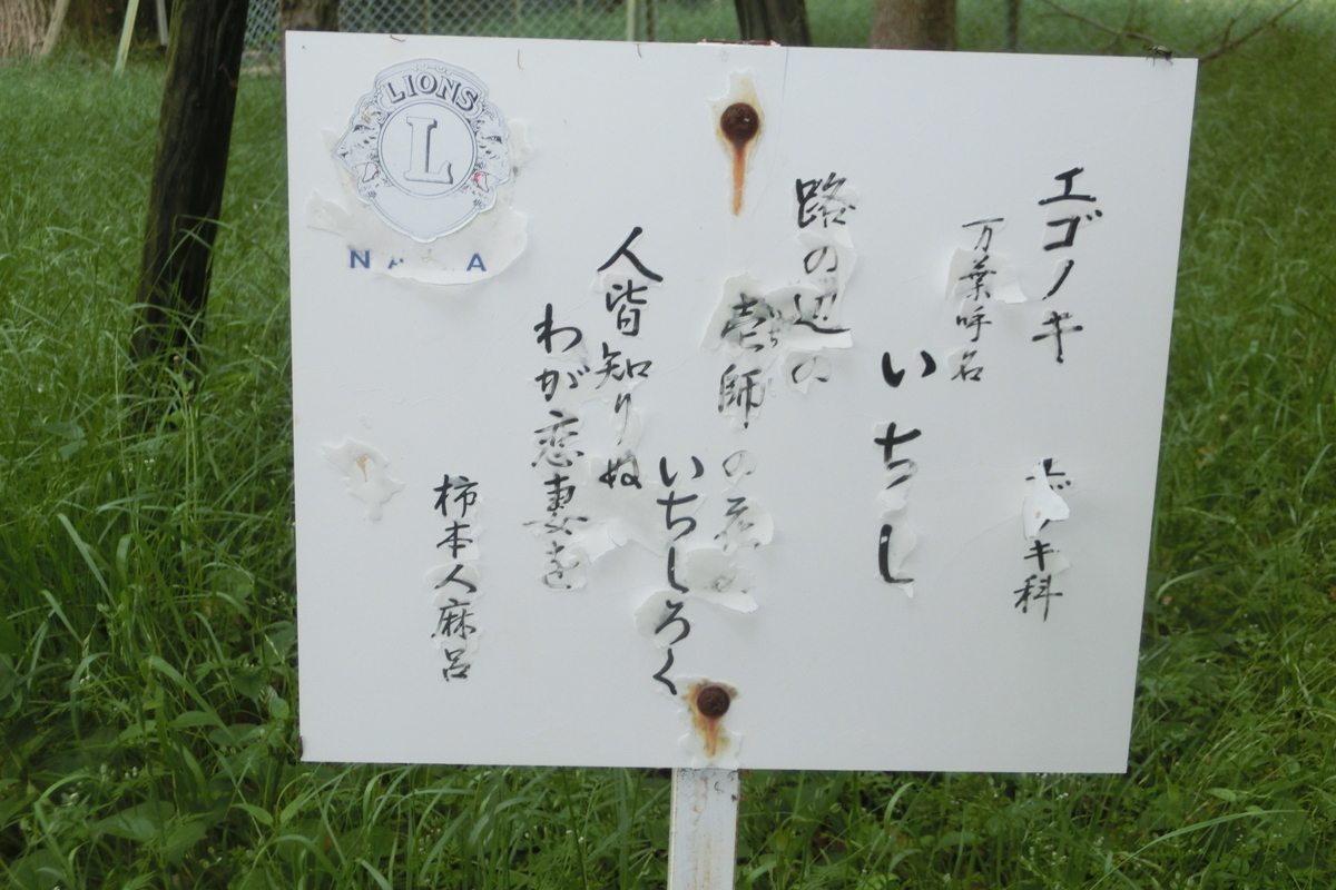 f:id:tom101010:20200615162715j:plain f:id:tom101010:20200615162715j:plain