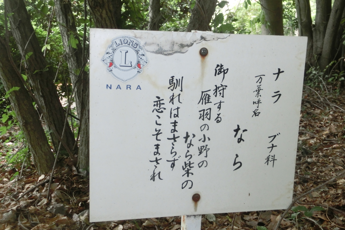 f:id:tom101010:20200615162836j:plain f:id:tom101010:20200615162836j:plain