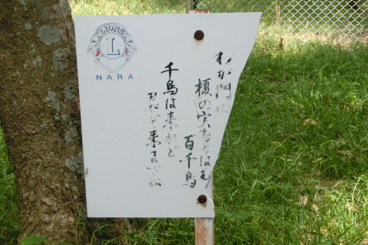 f:id:tom101010:20200617115537j:plain f:id:tom101010:20200617115537j:plain