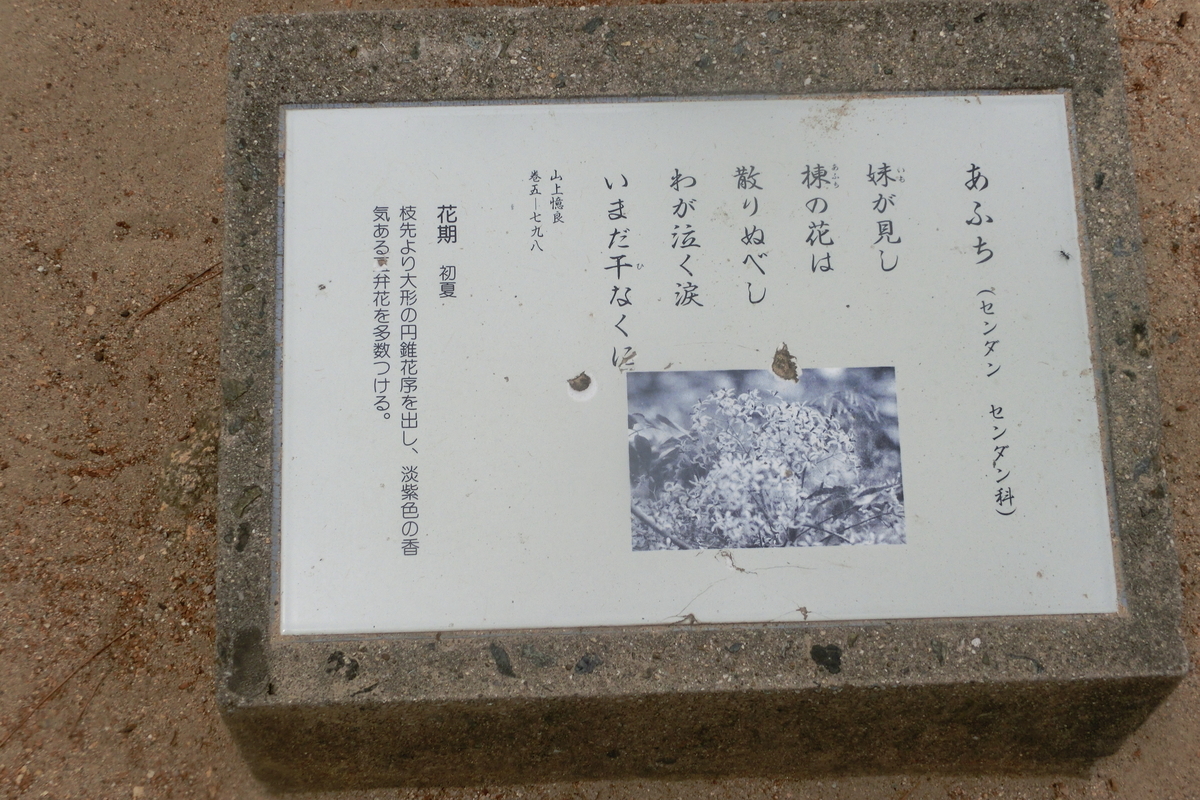 万葉歌碑を訪ねて（その594，595，596）―西田公園万葉植物苑