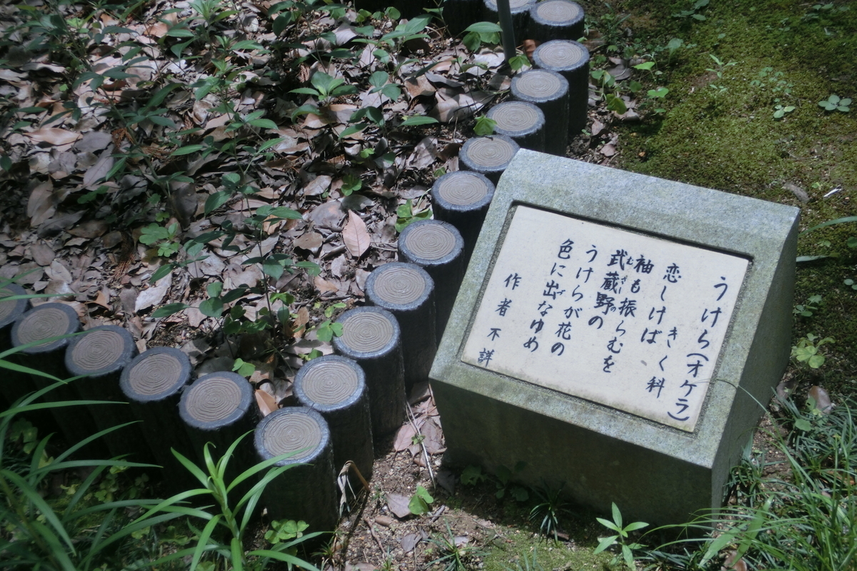 うけらとは 動植物の人気 最新記事を集めました はてな うけらとは 動植物の人気 最新記事を集めました はてな
