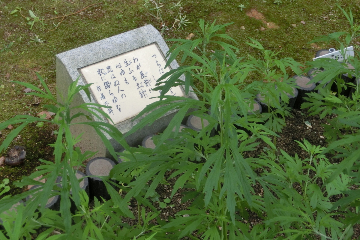 f:id:tom101010:20200816173818j:plain f:id:tom101010:20200816173818j:plain