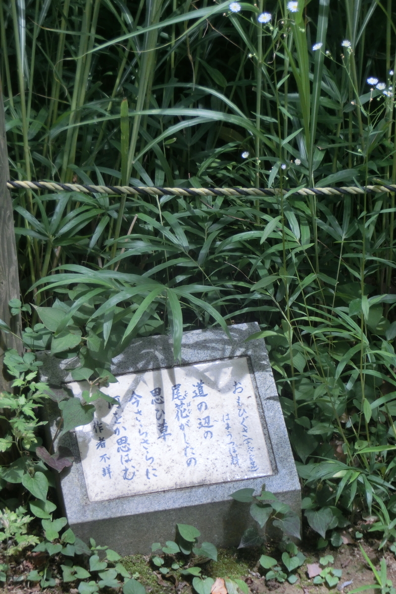 f:id:tom101010:20200816174058j:plain f:id:tom101010:20200816174058j:plain