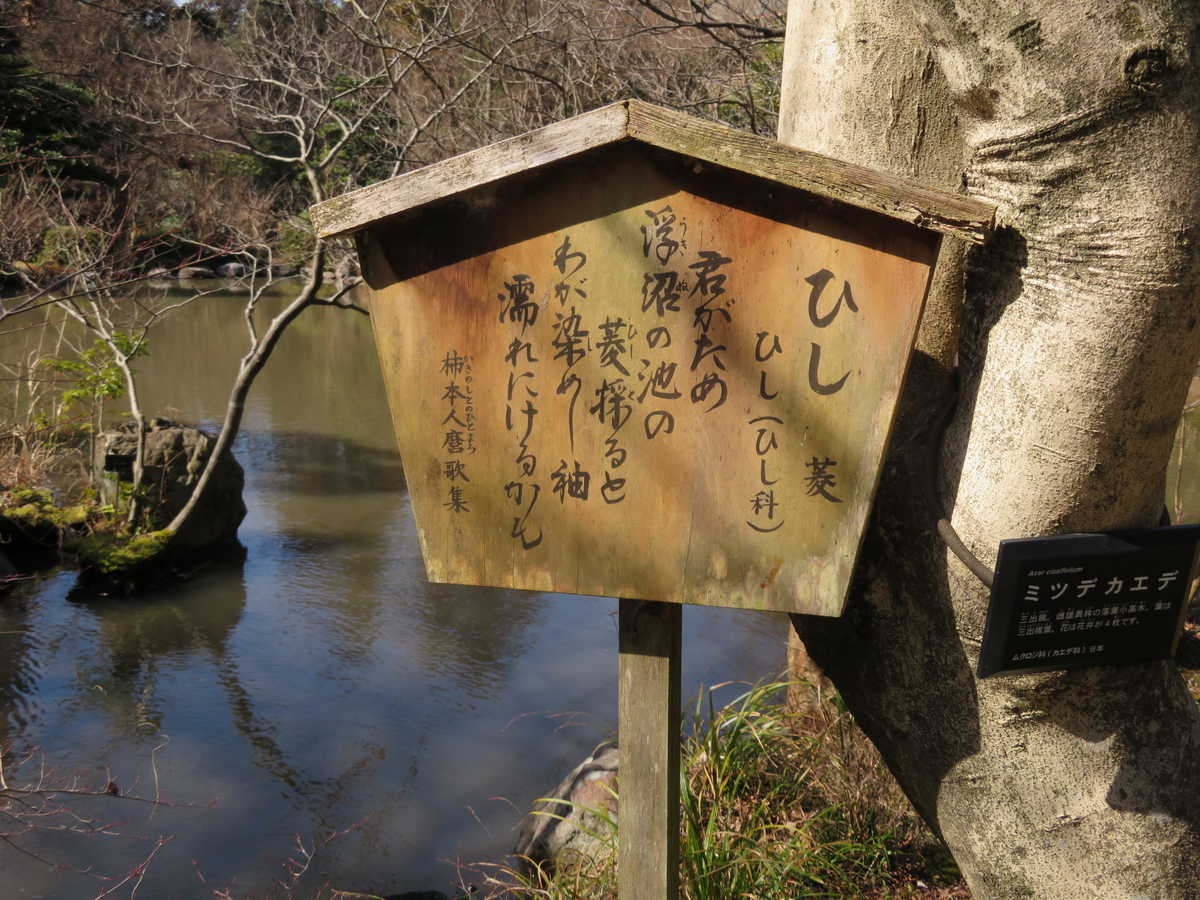ジュンサイとは 動植物の人気 最新記事を集めました はてな
