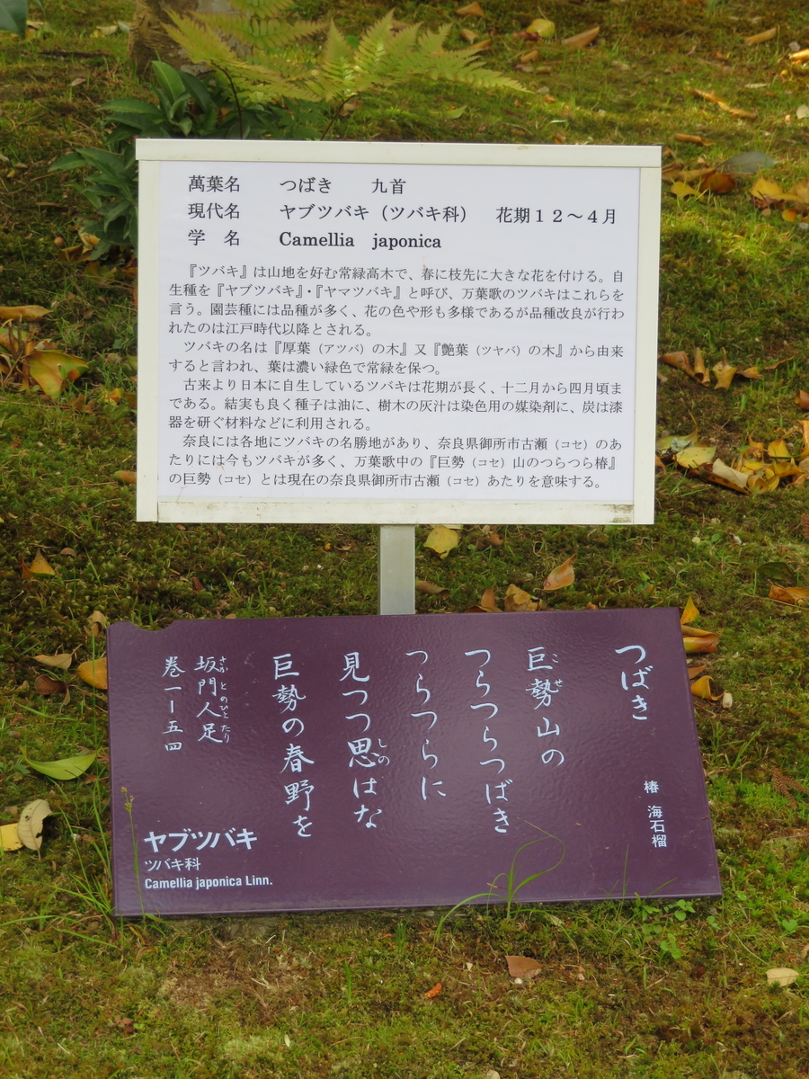 f:id:tom101010:20210601134601j:plain