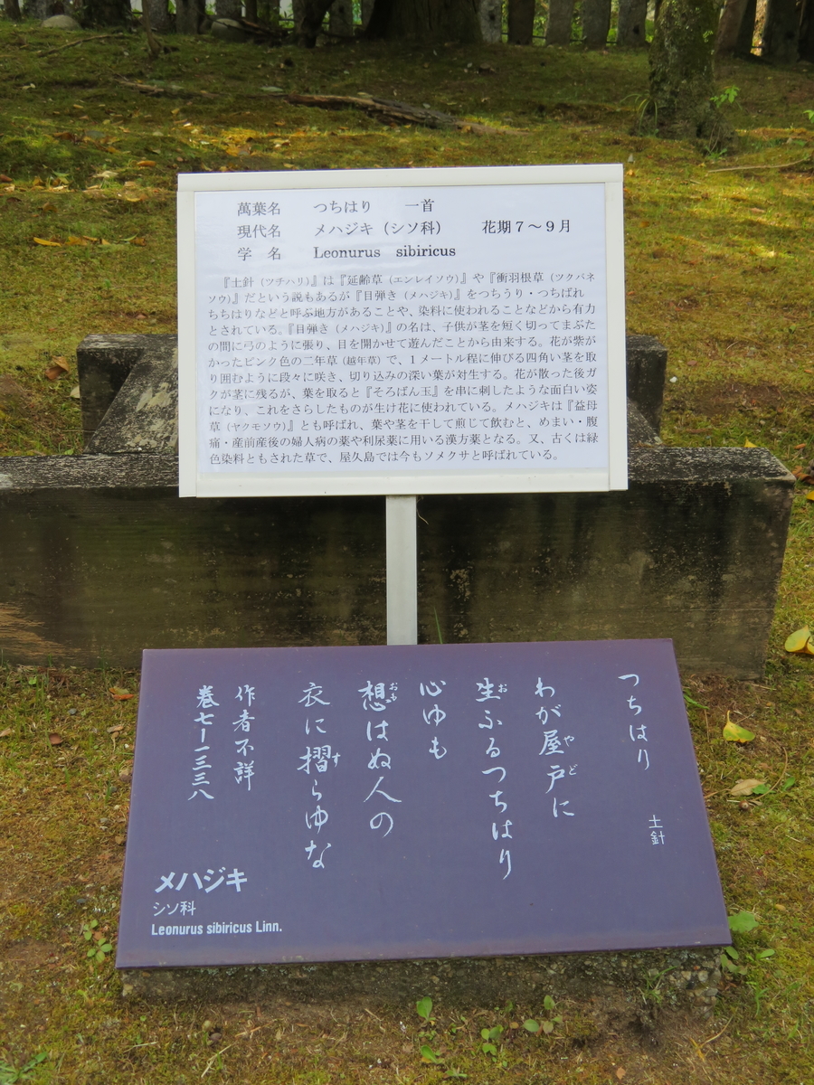 f:id:tom101010:20210601134759j:plain