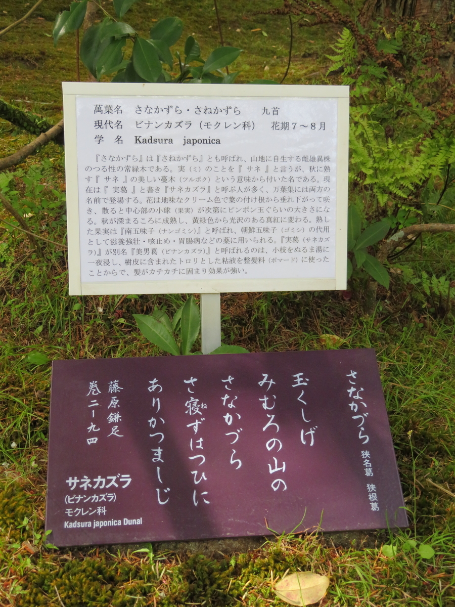 万葉歌碑を訪ねて その1085 奈良市春日野町 春日大社神苑萬葉植物園 45 万葉集 巻二 九四 万葉集の歌碑めぐり 万葉歌碑を訪ねて その1085 奈良市春日野町 春日大社神苑萬葉植物園 45 万葉集 巻二 九四 万葉集の歌碑めぐり
