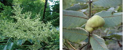 f:id:tom101010:20210812141901p:plain