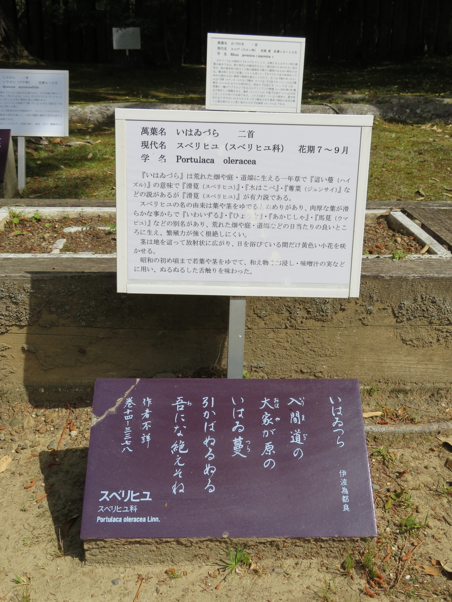 f:id:tom101010:20210813145719j:plain