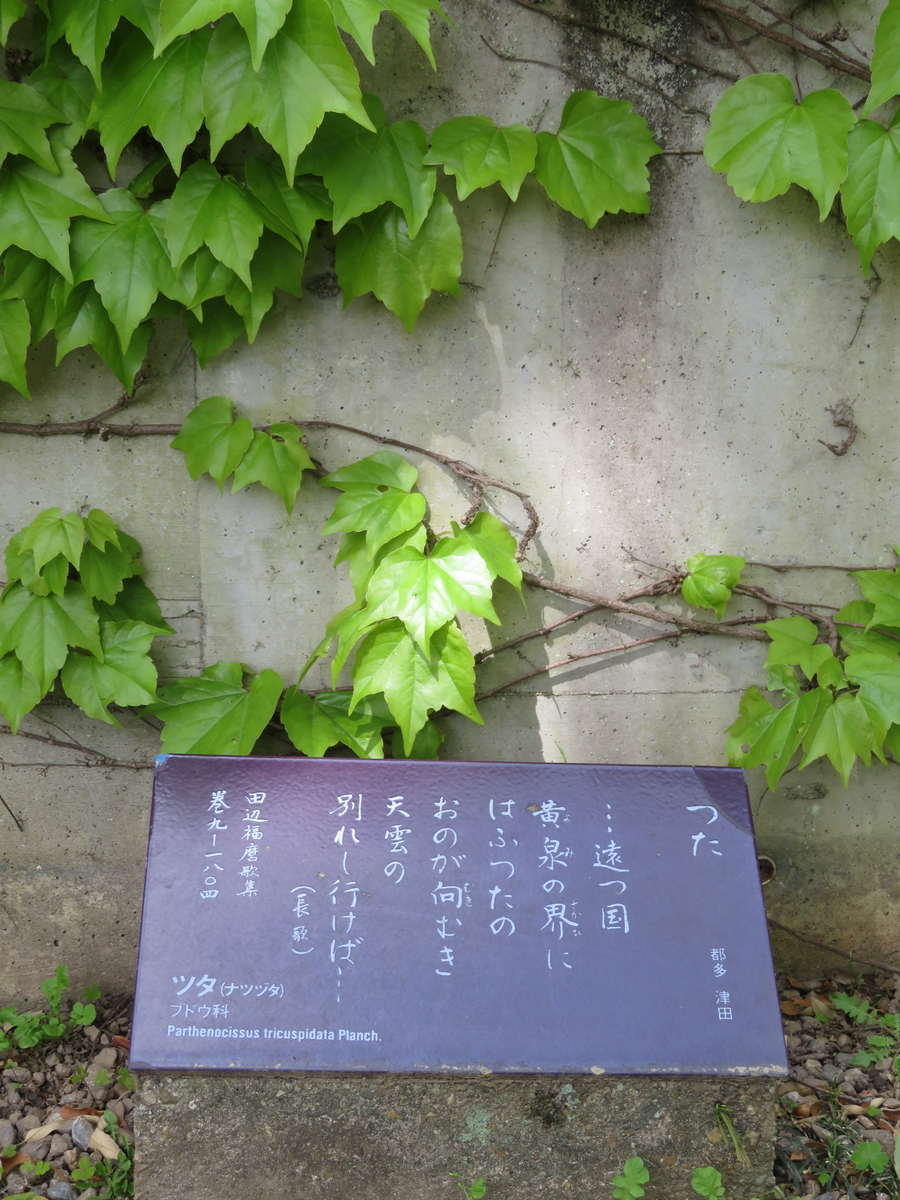 f:id:tom101010:20210922145721j:plain