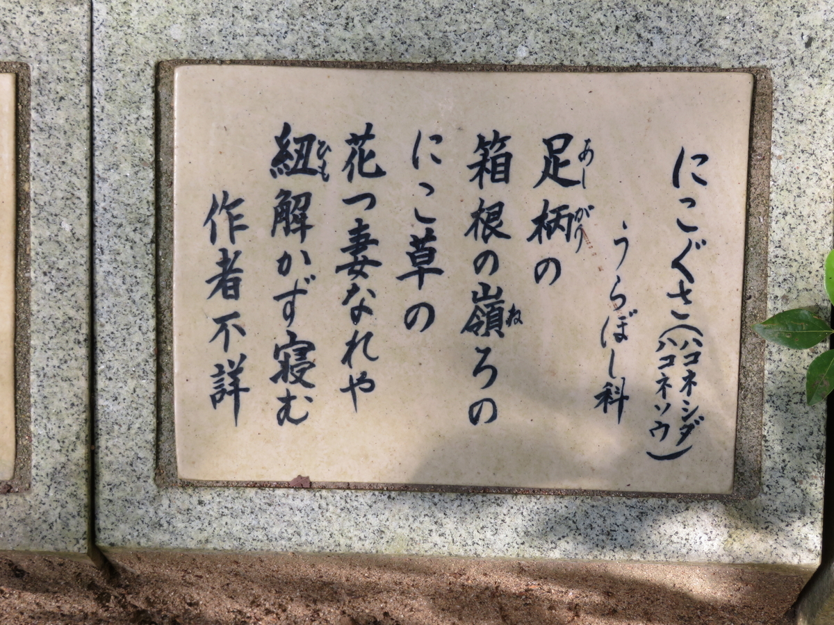 f:id:tom101010:20211116132144j:plain