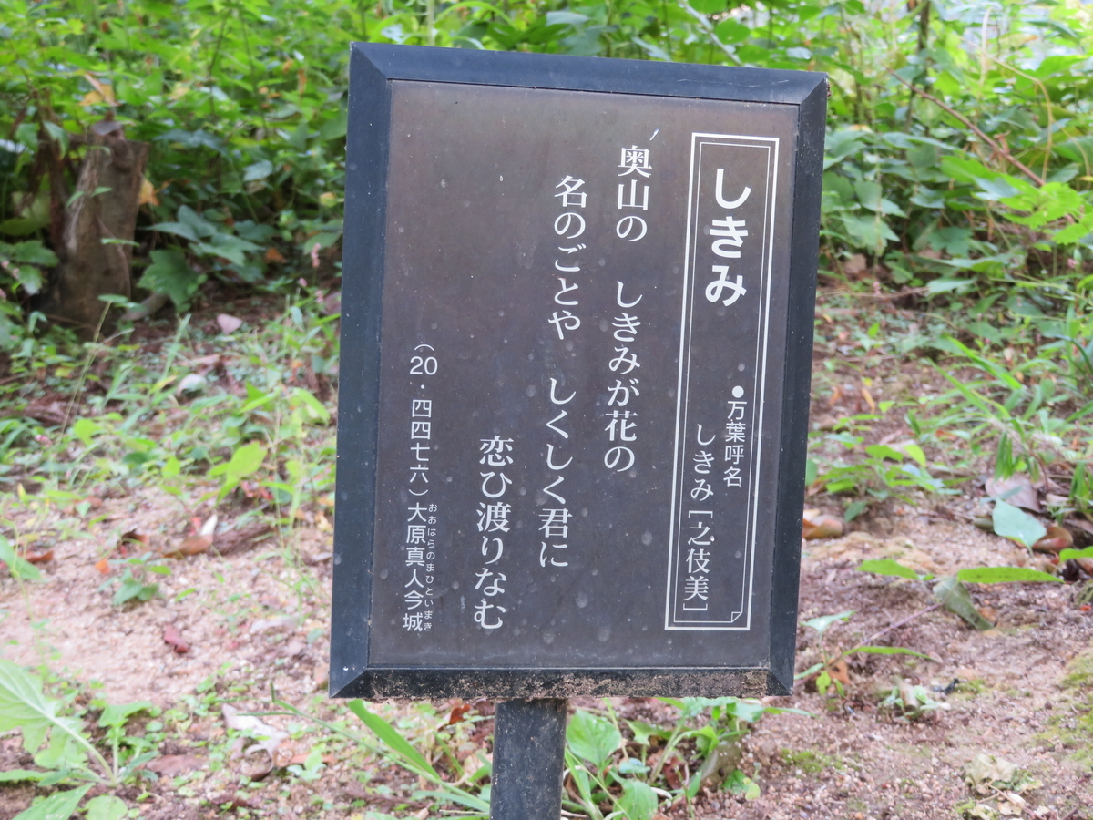 f:id:tom101010:20211120134736j:plain