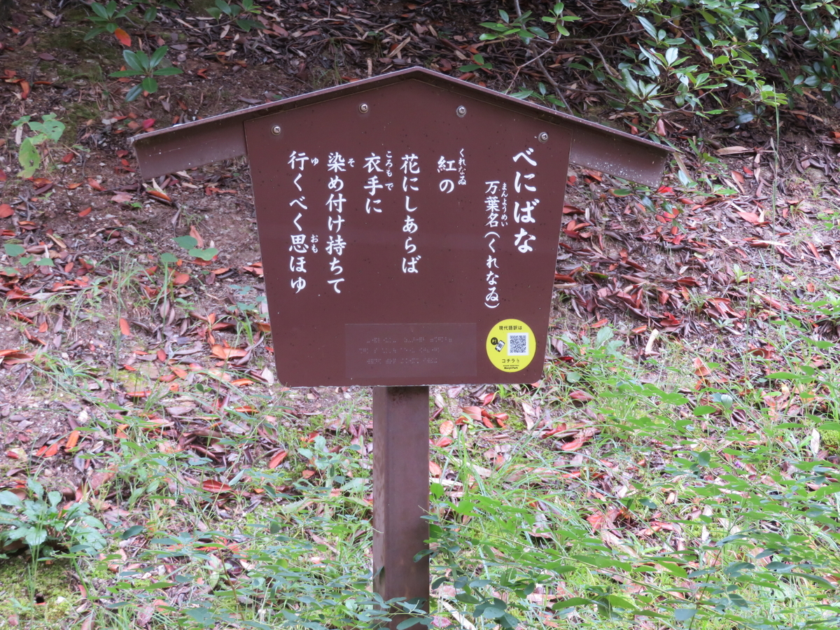 f:id:tom101010:20211225145954j:plain