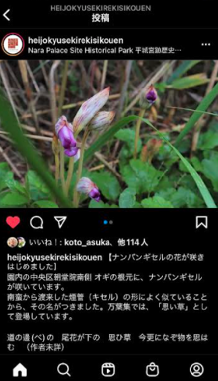 f:id:tom101010:20211226171100p:plain