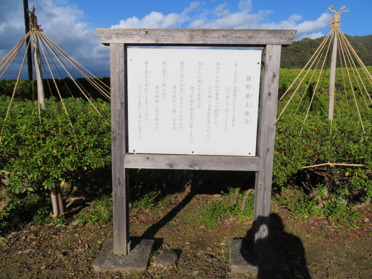 f:id:tom101010:20220222131428j:plain