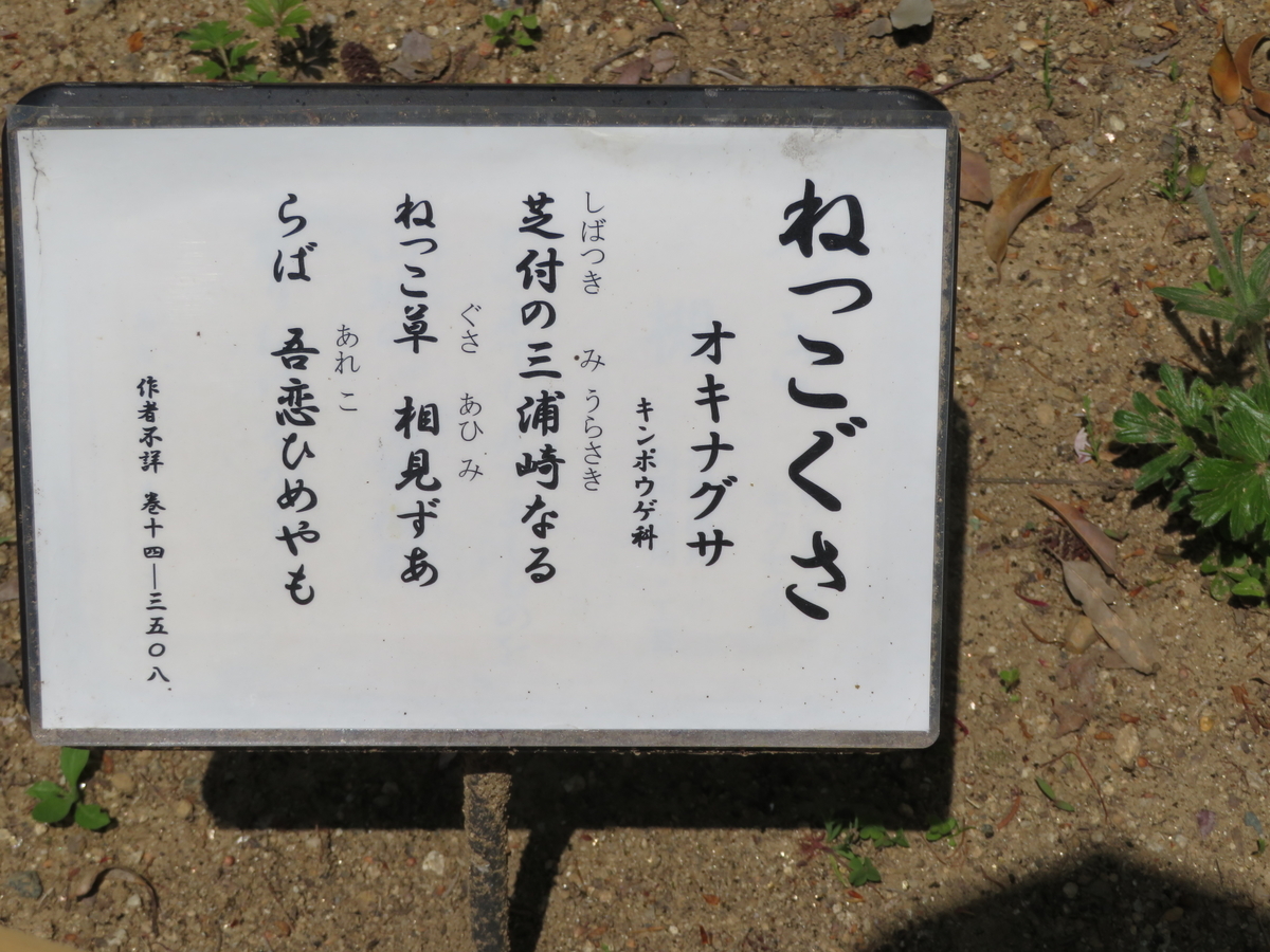 万葉歌碑を訪ねて（その1545，1546，1547）―静岡県