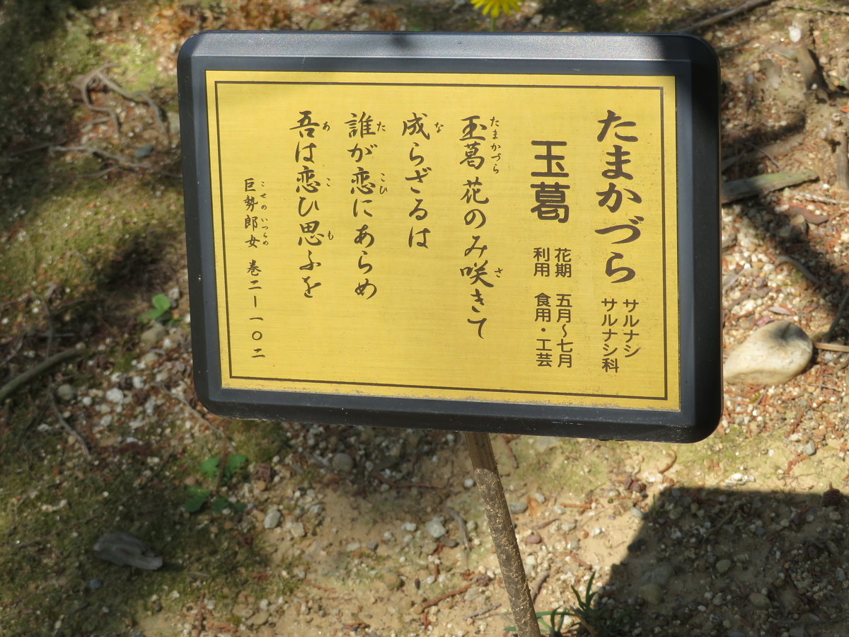 万葉歌碑を訪ねて（その1572，1573，1574）―静岡県浜松市