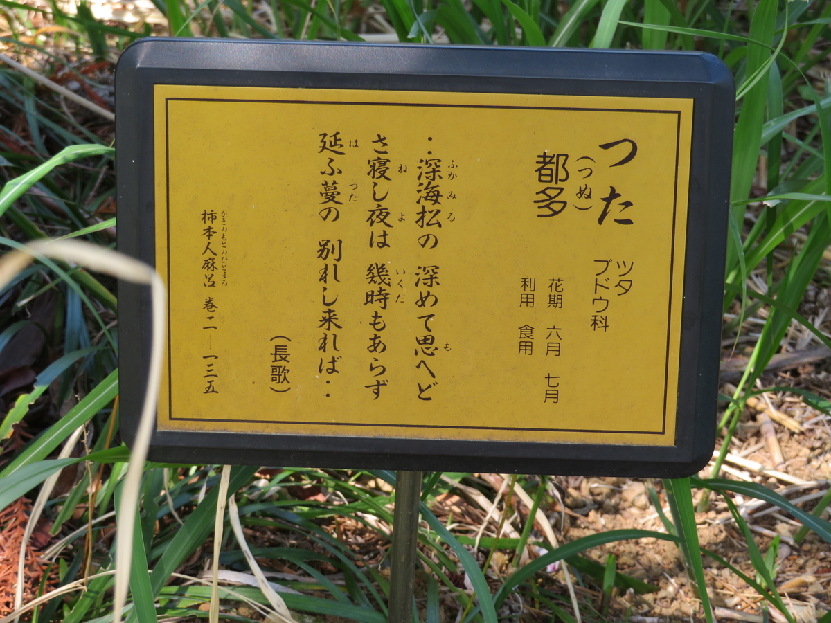 掛け軸 拓本 版画 万葉歌碑 防人の歌 万葉集 巻二十　悠久 歴史 掛軸 です。 掛け軸 拓本 版画 万葉歌碑 防人の歌 万葉集 巻二十 悠久 歴史