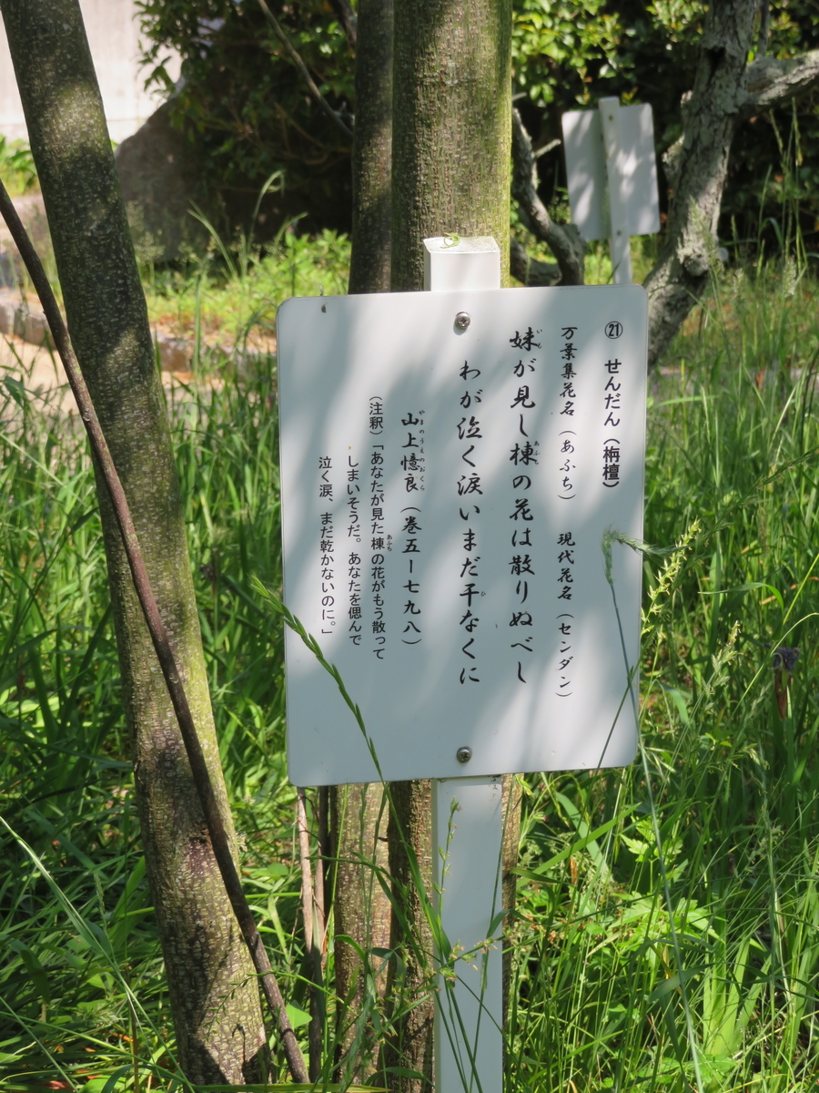 万葉歌碑を訪ねて その１６００ １６０１ １６０２ 広島県呉市倉橋町 万葉植物公園 ７ ８ ９ 万葉集 巻五 七九八 巻七 一二五五 巻八 一四五二 万葉集の歌碑めぐり