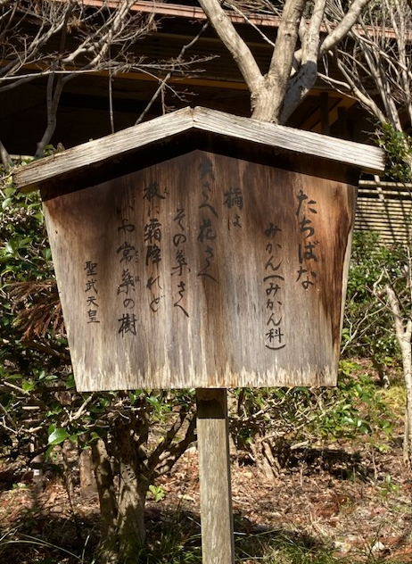 万葉集の世界に飛び込もう―万葉歌碑を訪ねて（2245～2247